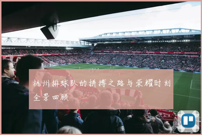 杭州排球队的拼搏之路与荣耀时刻全景回顾