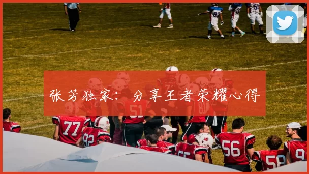 张芳独家：分享王者荣耀心得