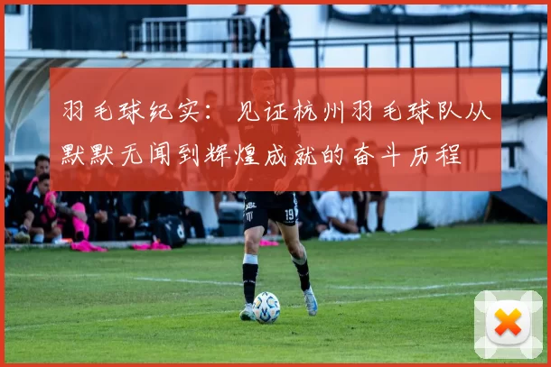 羽毛球纪实：见证杭州羽毛球队从默默无闻到辉煌成就的奋斗历程