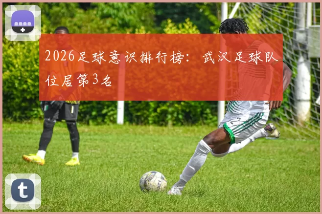 2026足球意识排行榜：武汉足球队位居第3名