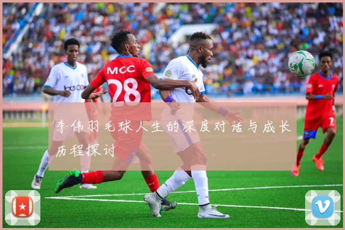 李伟羽毛球人生的深度对话与成长历程探讨